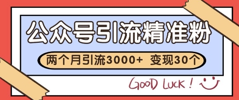 公众号精准粉引流玩法，2个月3000+精准粉，变现30个W【揭秘】_微雨项目网