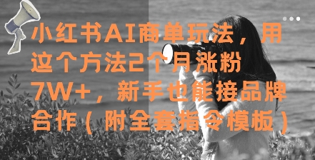 小红书AI商单玩法，用这个方法2个月涨粉7W+，新手也能接品牌合作(附全套指令模板)_微雨项目网