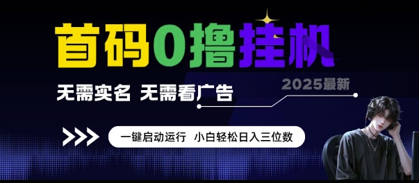 首码0撸挂G项目，无需实名无需看广告 一键启动运行，小白轻松日入三位数【揭秘】_微雨项目网