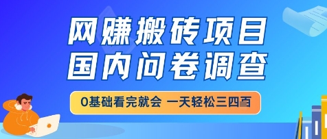 网创搬砖项目，国内问卷调查，小白轻松上手，一天三四张的也不难，干就完了【揭秘】_微雨项目网