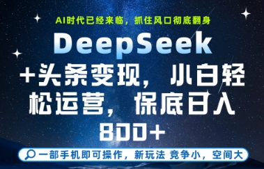 DeepSeek+头条变现，保姆级教学，小白轻松上手，日入8张+【揭秘】_微雨项目网