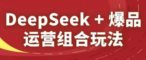 DeepSeek+爆品运营组合玩法，2025淘系精品课_微雨项目网