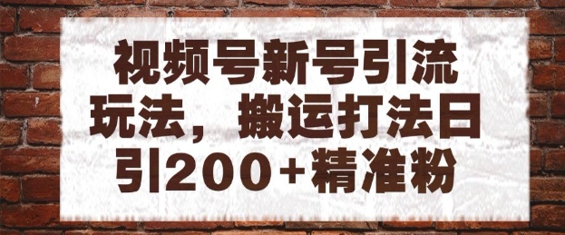 视频号新号引流玩法，搬运打法日引200+精准粉，可矩阵放大【揭秘】_微雨项目网