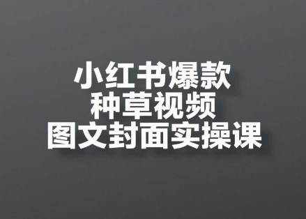 小红书爆款种草视频图文封面实操课，​开店、选品、引流、变现全流程_微雨项目网