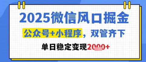 2025微信风口掘金，公众号+小程序双管齐下，单日稳定变现1k+【揭秘】_微雨项目网