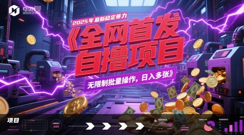 全网首发，2025年最新稳定暴力全自动自撸项目，无限制批量操作，日入多张【揭秘】_微雨项目网