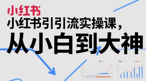 小红书引流实操课，从小白到大神_微雨项目网