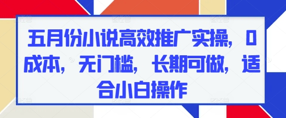 五月份小说高效推广实操，0成本，无门槛，长期可做，适合小白操作_微雨项目网