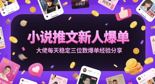 小说推文新人爆单大佬每天稳定三位数爆单经验分享_微雨项目网