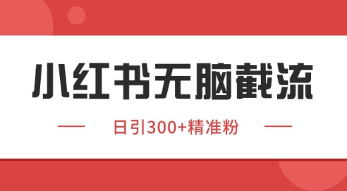小红书截流同行客源，独家野路子获客玩法 日引200+暴力获客【揭秘】_微雨项目网