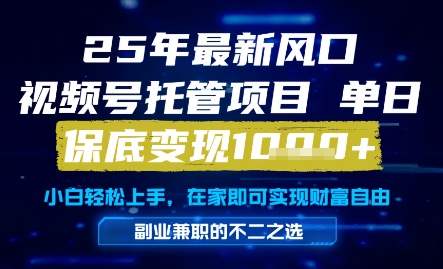 25年最新风口，视频号托管项目，单日保底变现1k+，手把手教学【揭秘】_微雨项目网