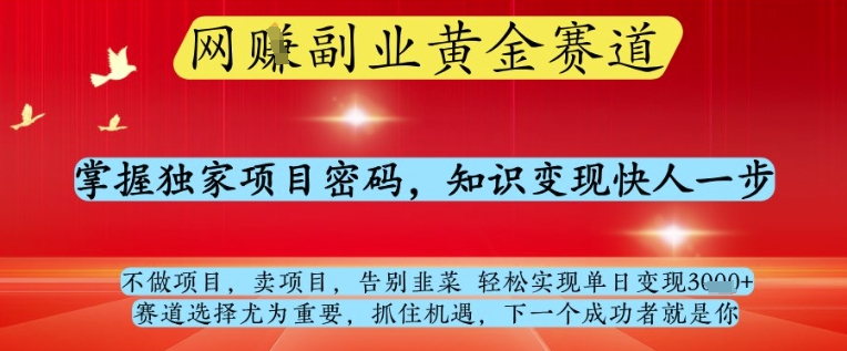 网创副业黄全赛道，掌握独家项目密码，知识变现快人一步，告别韭菜轻松实现单日变现1k+【揭秘】_微雨项目网