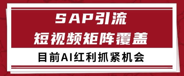 小红书某音sap赛道引流获客 自热矩阵日引200+【揭秘】_微雨项目网