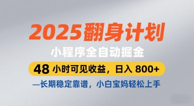 2025翻身计划，小程序全自动掘金，48小时可见收益，日入8张+，长期稳定靠谱，小白宝妈轻松上手【揭秘】_微雨项目网
