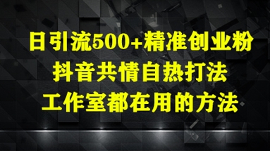 日引流500+精准创业粉，抖音共情自热打法，工作室都在用的方法_微雨项目网
