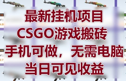 最新挂G项目，CSGO游戏搬砖，手机可做，无需电脑，当日见收益【揭秘】_微雨项目网