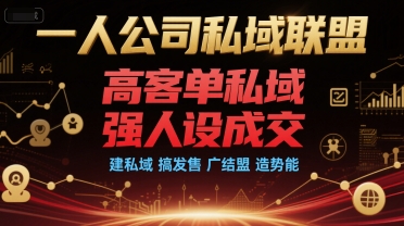 一人公司私域联盟，高客单私域，强人设成交，建私域 搞发售 广结盟 造势能_微雨项目网