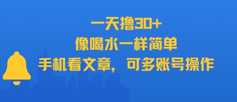 一天撸30+，像喝水一样简单，手机看文章，可多账号操作_微雨项目网