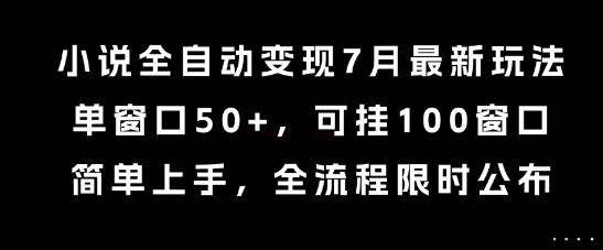 小说全自动变现7月玩法，单窗口50+，可挂100窗口，简单上手，全流程限时公布【揭秘】_微雨项目网