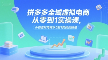 拼多多全域虚拟电商从零到1实操课，小白虚拟电商从0到1实操到精通_微雨项目网