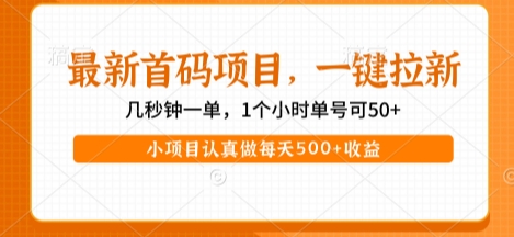 最新首码项目，操作最简单，收益高，一键拉新，1个小时单号可50+，小项目认真做每天5张+收益【揭秘】_微雨项目网