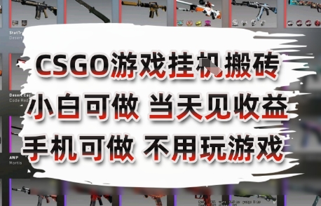 CSGO游戏挂G搬砖，小白纯手机即可操作，不用电脑打游戏，日入3张+，副业网创项目【揭秘】_微雨项目网