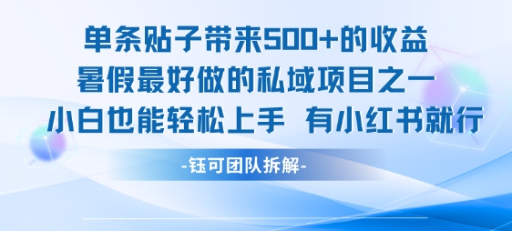 单条贴子带来5张的收益，暑假最好做的私域项目之一，小白也能轻松上手，有小红书就行_微雨项目网