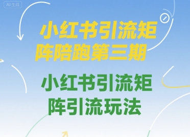 小红书引流矩阵陪跑第三期，小红书引流矩阵引流玩法_微雨项目网
