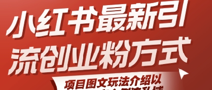 小红书最新引流创业粉方式，项目图文玩法介绍以及如何安全倒流私域_微雨项目网