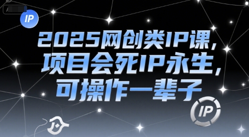 2025网创类IP课，项目会死IP永生，可操作一辈子_微雨项目网