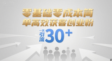零基础零成本简单高效获客创业粉，一天引流30+_微雨项目网