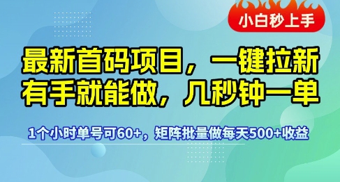 最新首码项目，一键拉新有手就能做，几秒钟一单，1个小时单号可60+，矩阵批量做每天5张【揭秘】_微雨项目网