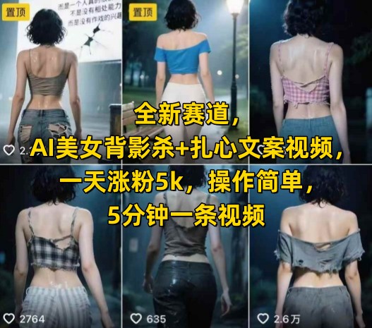 全新赛道，AI美女背影杀+扎心文案视频，一天涨粉5k，操作简单，5分钟一条视频_微雨项目网