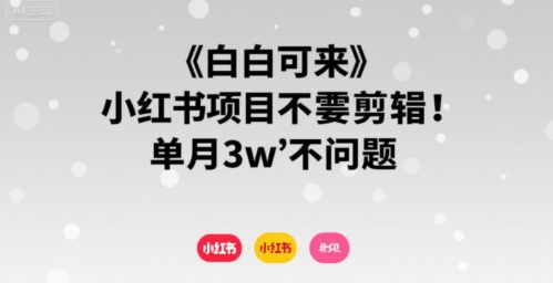 小白可来 小红书项目不需要剪辑 单月3w不是问题_微雨项目网