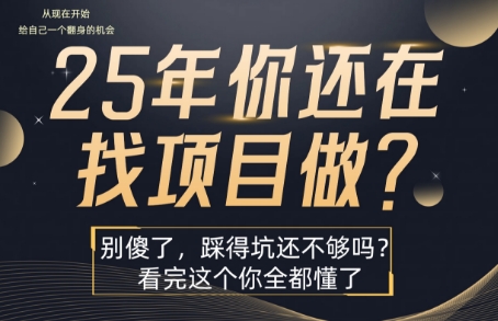 25年，你还在疯狂的找项目吗？别傻了，看完这个你都懂了【揭秘】_微雨项目网