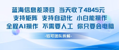 蓝海信息差项目当天收米1k+ 支持矩阵支持自动化小白能操作全程AI操作不需要人工你只要会电脑_微雨项目网