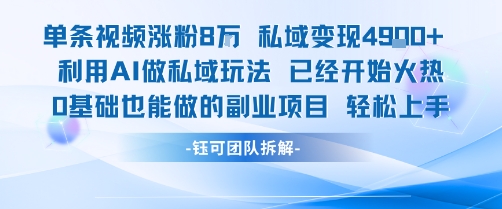 单条视频私域变现4.9k+利用AI做私域玩法 已经开始火热0基础也能做的副业项目轻松上手_微雨项目网