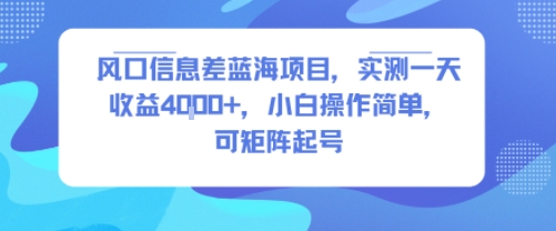 风口信息差蓝海项目，实测一天收益4k+，小白操作简单，可矩阵起号_微雨项目网