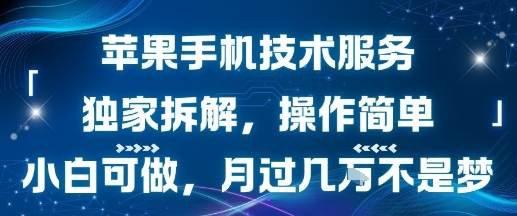 苹果手机技术服务，独家拆解，操作简单，小白可做，月过1W不是梦_微雨项目网