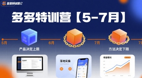 多多特训营【5-7月】产品决定上限，方法决定下限，各种玩法技巧落地实操_微雨项目网