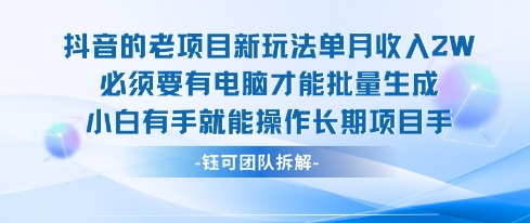 老项目新玩法单月收入2W小白有手就能操作长期项目_微雨项目网