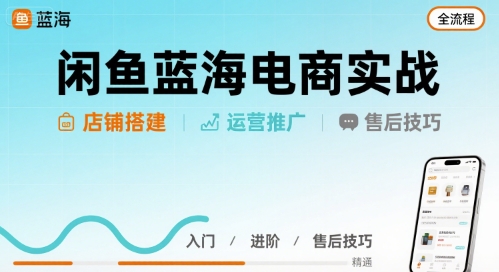 闲鱼蓝海电商实战，店铺搭建运营售后全流程_微雨项目网