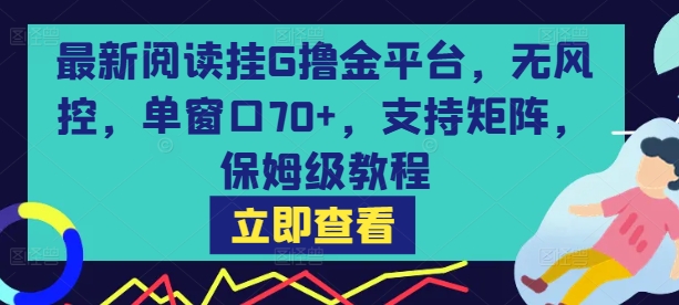 最新阅读挂G撸金平台，无风控，单窗口70+，支持矩阵，保姆级教程【揭秘】_微雨项目网