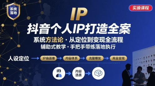 抖音个人IP系统落地实操大课，实操课程，辅助落地_微雨项目网