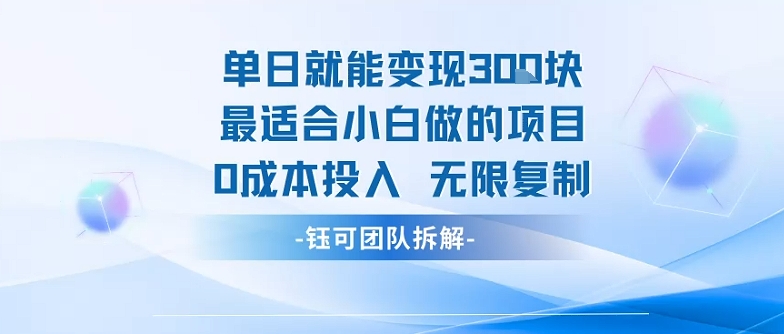 单日就能变现3张最适合小白做的项目0成本投入 无限复制_微雨项目网