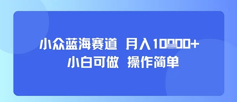 小众蓝海赛道，小白可做，操作简单，每天30分钟，月入1W+_微雨项目网