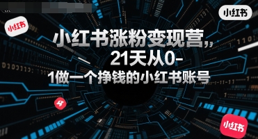 小红书涨粉变现营，21天从0-1做一个挣钱的小红书账号_微雨项目网
