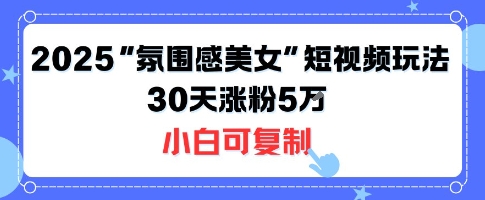 不露脸也能火！2025“氛围感美女”短视频玩法，30天涨粉5W小白可复制_微雨项目网