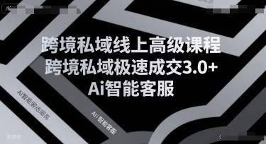 跨境私域线上高级课程，跨境私域极速成交3.0+Ai智能客服_微雨项目网