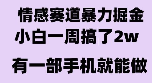 情感暴力掘金项目，新人操作一周挣了2W，长期稳定小白可做【揭秘】_微雨项目网